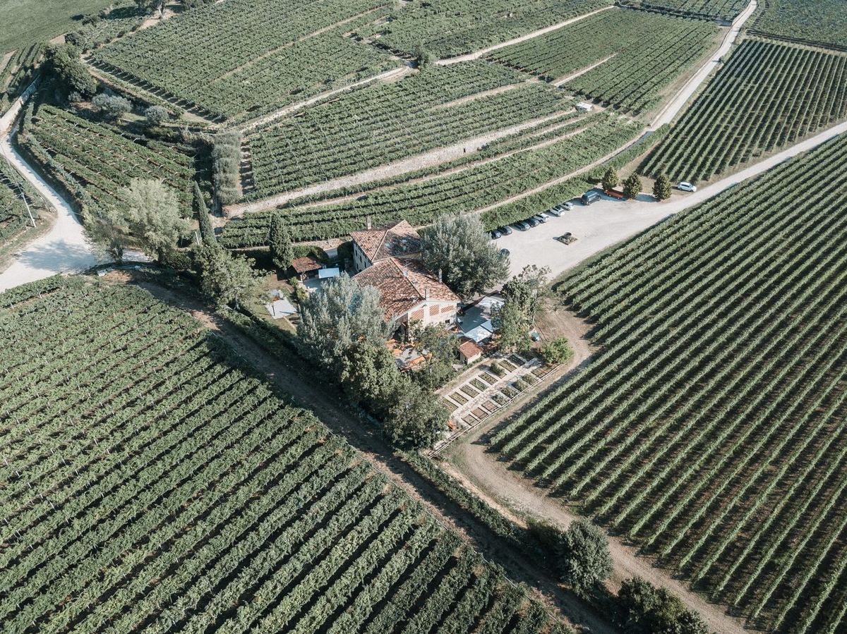 Luftbild der Weinberge rund um das Weingut beim Senti Vini Sommerfest 2017