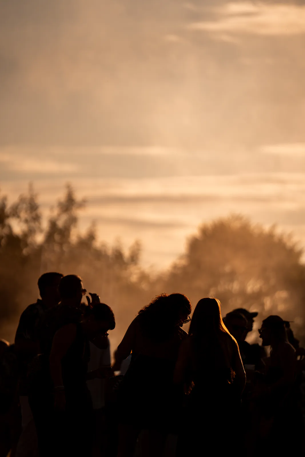 Silhouetten im aufgewirbelten Staub der Abendsonne